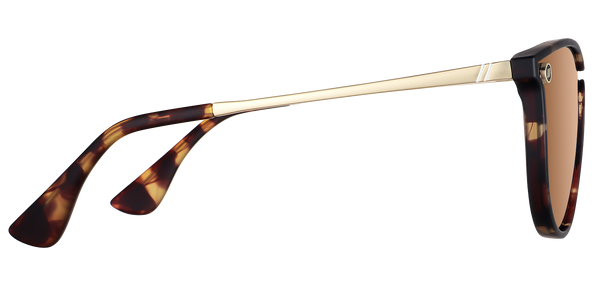 BRANDY NIGHT // NORTH PARK 2