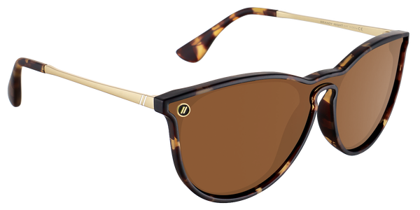 BRANDY NIGHT // NORTH PARK 2